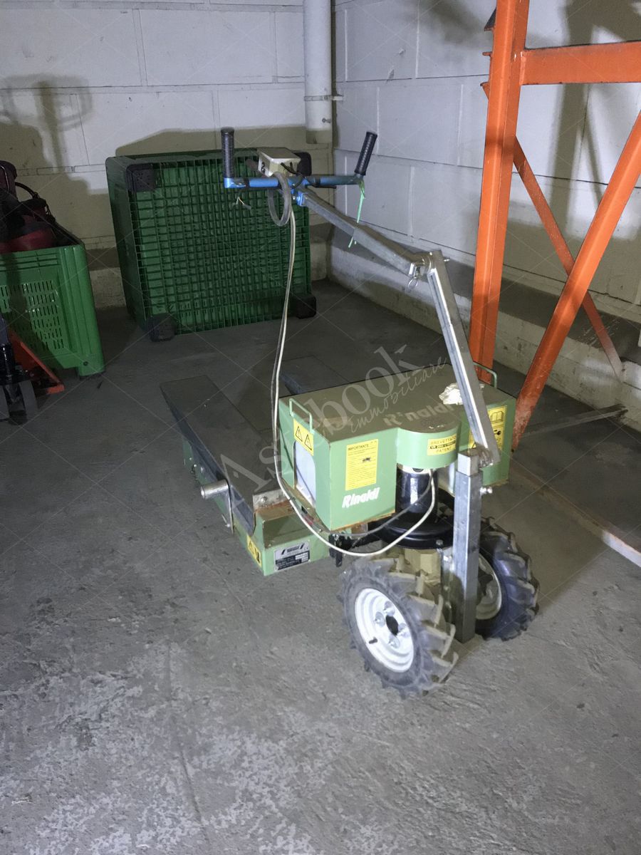 Lotto 5.31 - Lotto di motocarriole cingolate, transpallet agricoli motorizzati e carrello porta cassoni