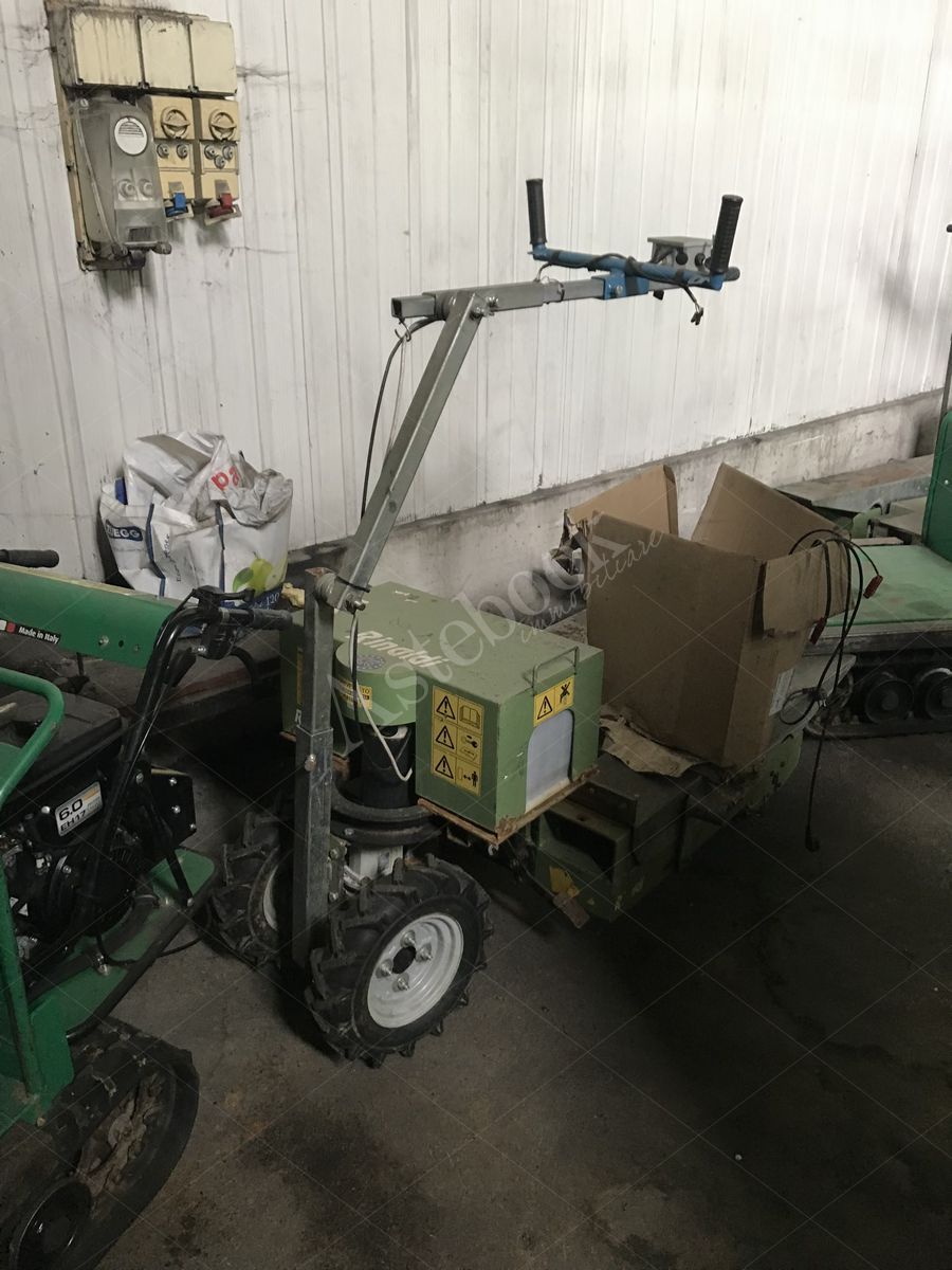 Lotto 5.31 - Lotto di motocarriole cingolate, transpallet agricoli motorizzati e carrello porta cassoni