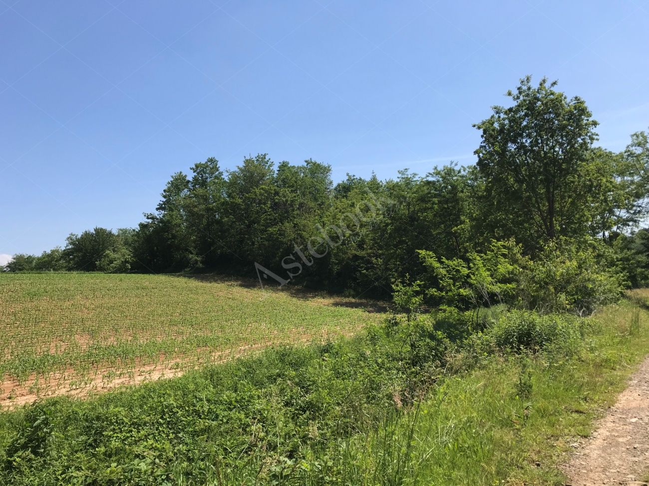 Terreno agricolo per la superficie di 2170 mq in Casatenovo