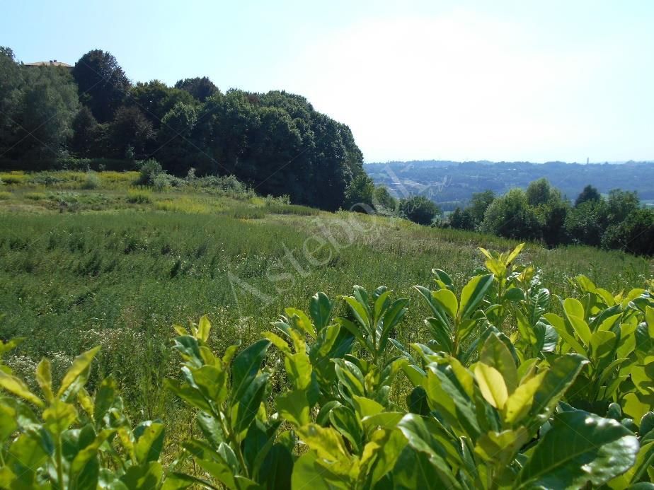 Terreno ad uso giardino e verde privato