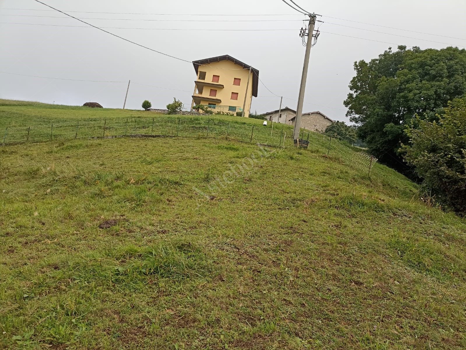 Terreni a destinazione seminativa, pascolo e prato di 3.330 mq in Zogno 