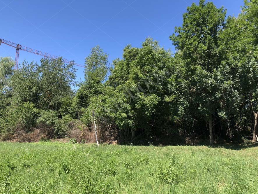In Comune di Colle Brianza (LC), sezione Ravellino,
TERRENO AGRICOLO della superficie commerciale di 1.174,00 mq, privo di delimitazione
rispetto ai fondi contigui. Lappezzamento di terreno risulta in parte pianeggiante con prato e con
rovi e piante al confine nord.
