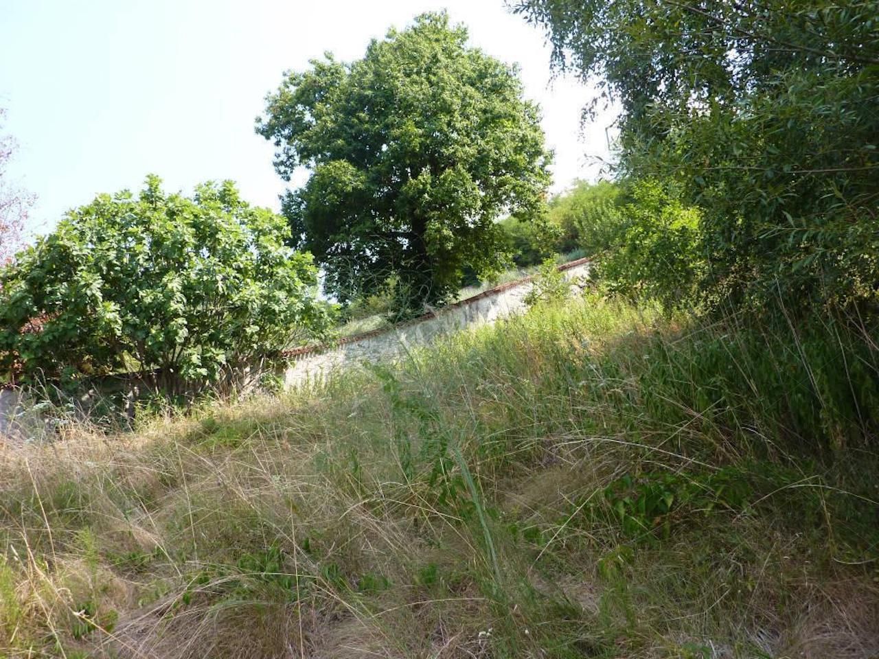 quota di 1/2 di piena propriet di TERRENO AGRICOLO VINCOLATO a STANDARD della
superficie commerciale di 1.740,00 mq catastali di forma rettangolare, con orografia in declivo a
balze, destinazione secondo il PGT vigente Impianti Tecnologici e attrezzature pubbliche (aree
standard)