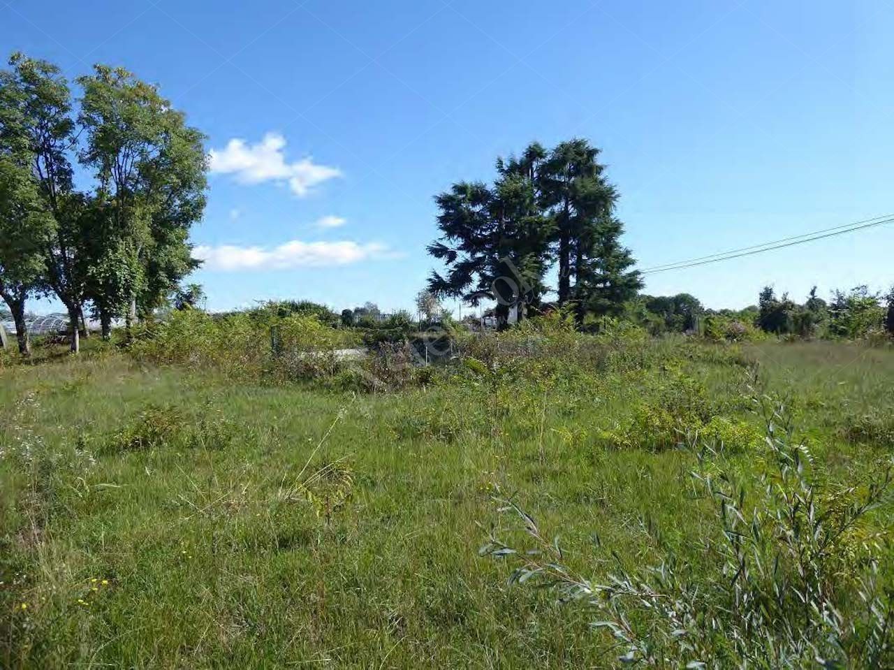 Capannone industriale adibito a smaltimento rifiuti posto su un area di 38.827 mq in Aviano