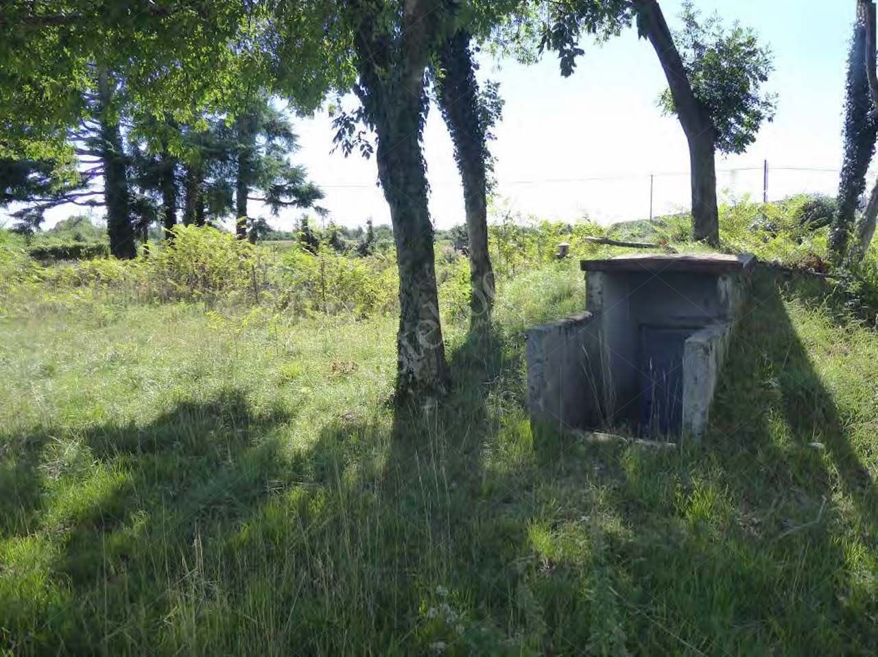 Capannone industriale adibito a smaltimento rifiuti posto su un area di 38.827 mq in Aviano