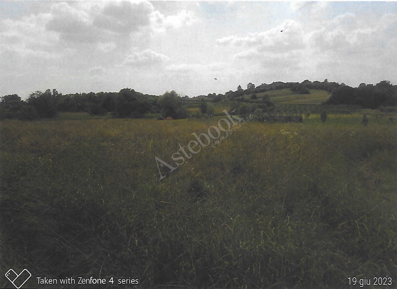 Terreno agricolo di 3.660 mq in Costa Masnaga