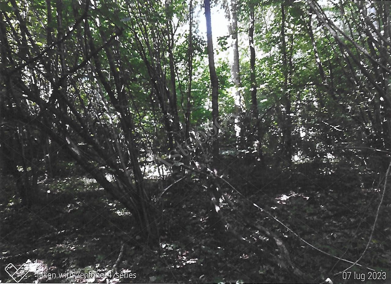 Terreno agricolo di 4.500 mq in Costa Masnaga