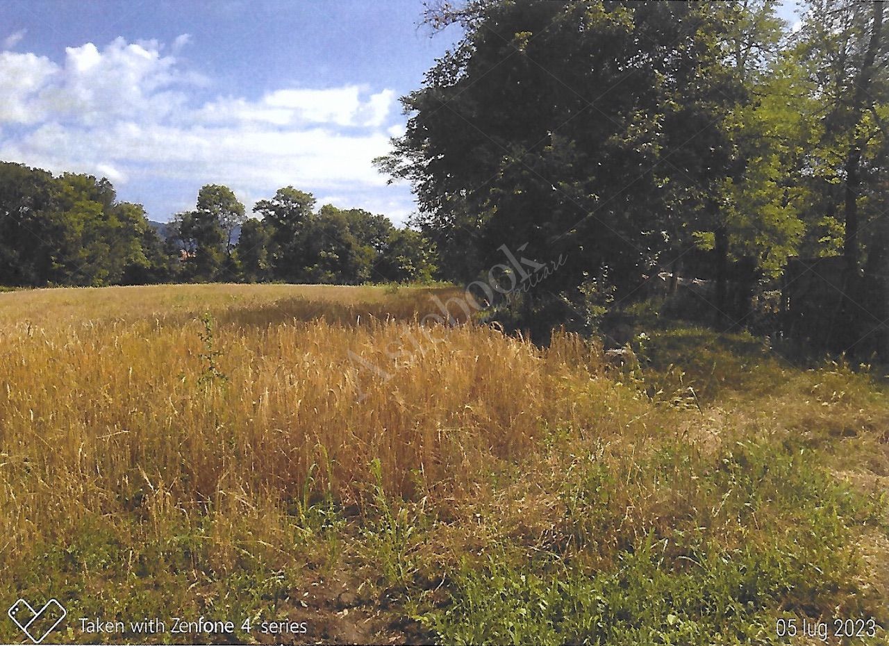 Terreni agricoli per circa 9.000 mq in Nibionno
