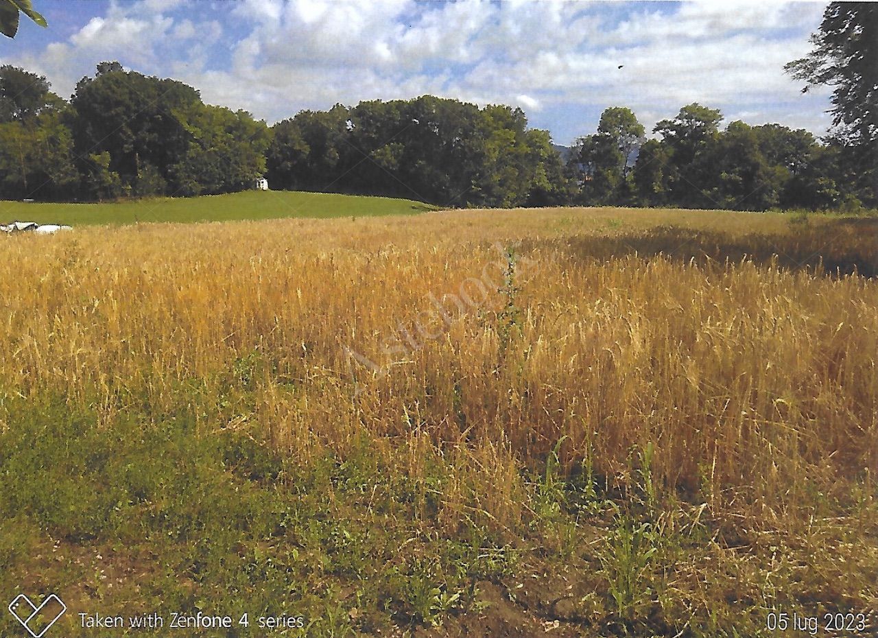Terreni agricoli per circa 9.000 mq in Nibionno
