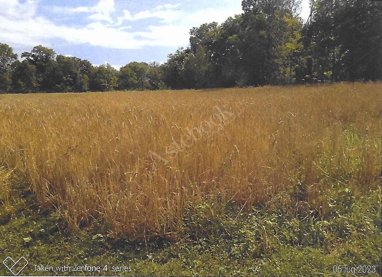 Terreni agricoli per circa 9.000 mq in Nibionno