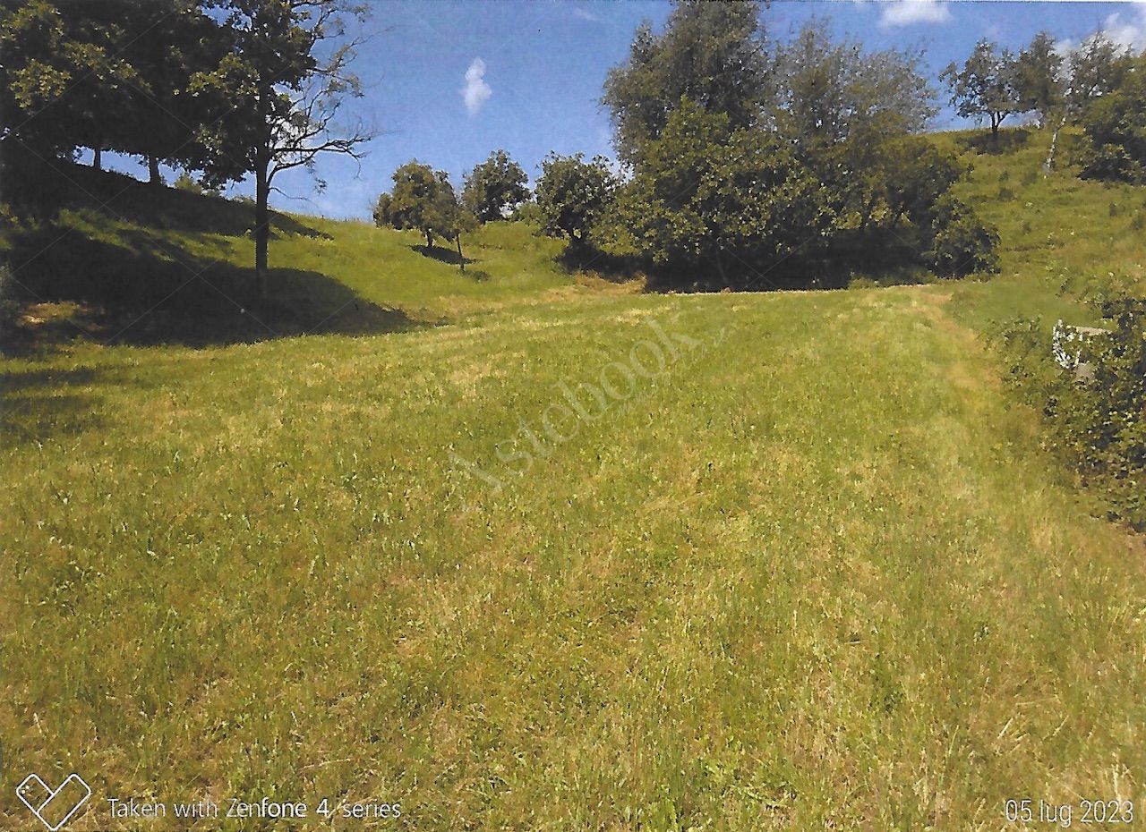 Terreno agricolo di 12.342 mq con deposito in Nibionno