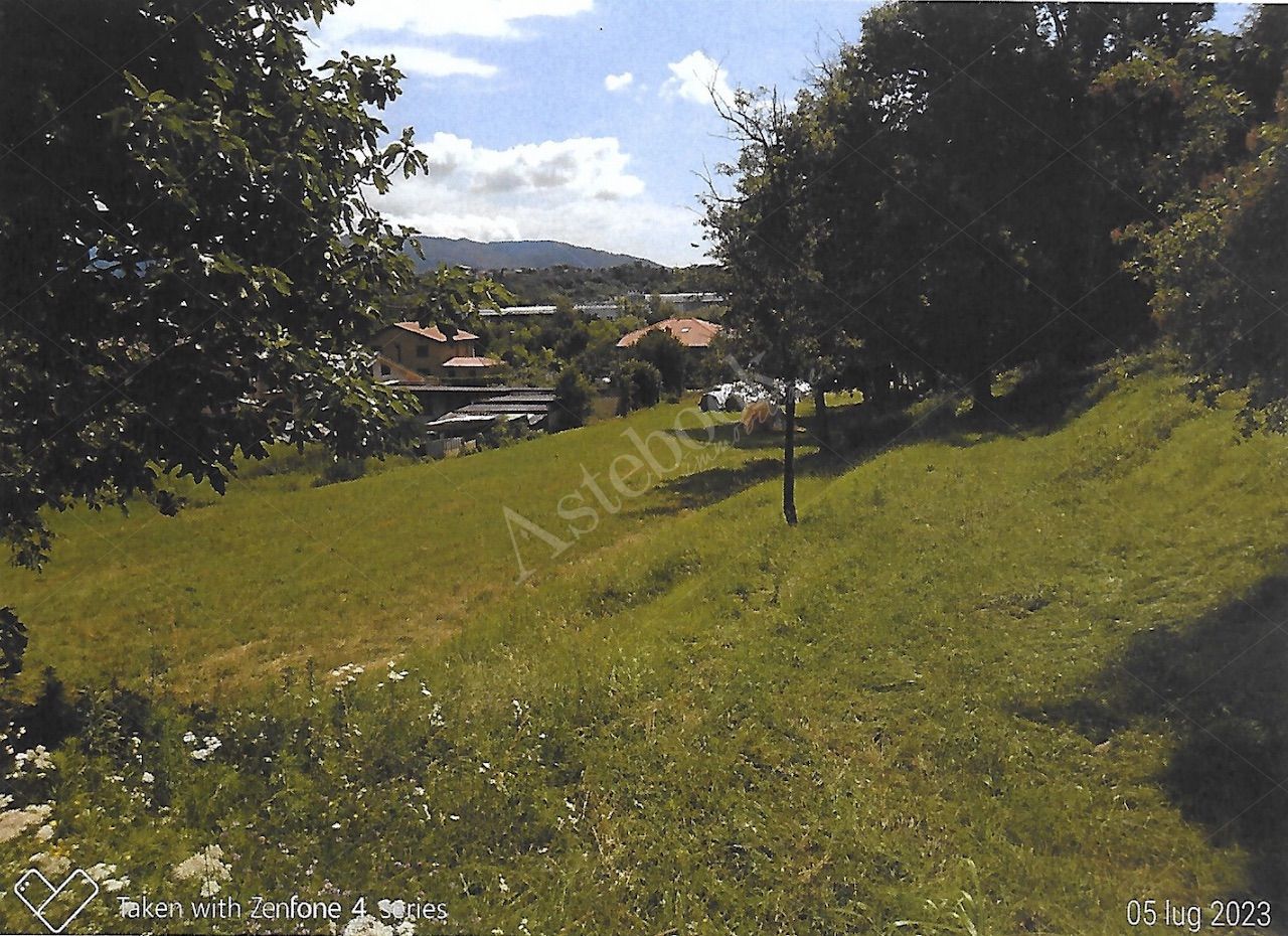 Terreno agricolo di 12.342 mq con deposito in Nibionno