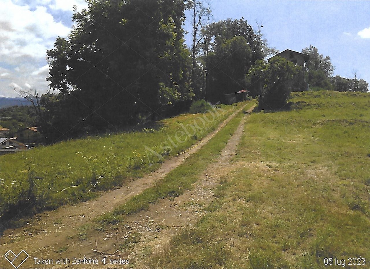 Terreno agricolo di 12.342 mq con deposito in Nibionno