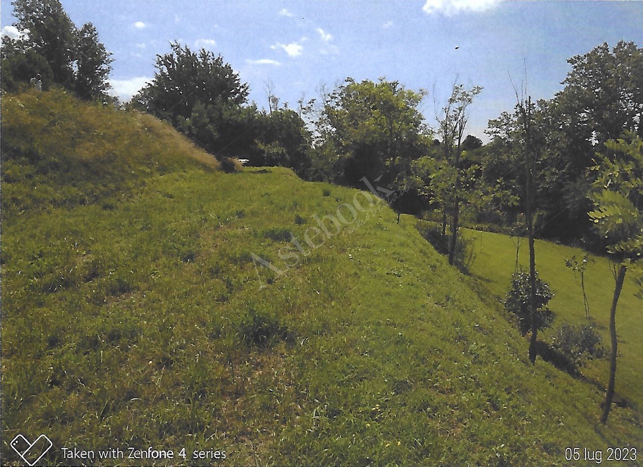 Terreno agricolo di 12.342 mq con deposito in Nibionno