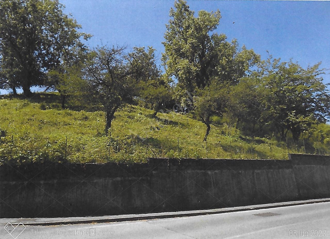 Terreno agricolo di 12.342 mq con deposito in Nibionno