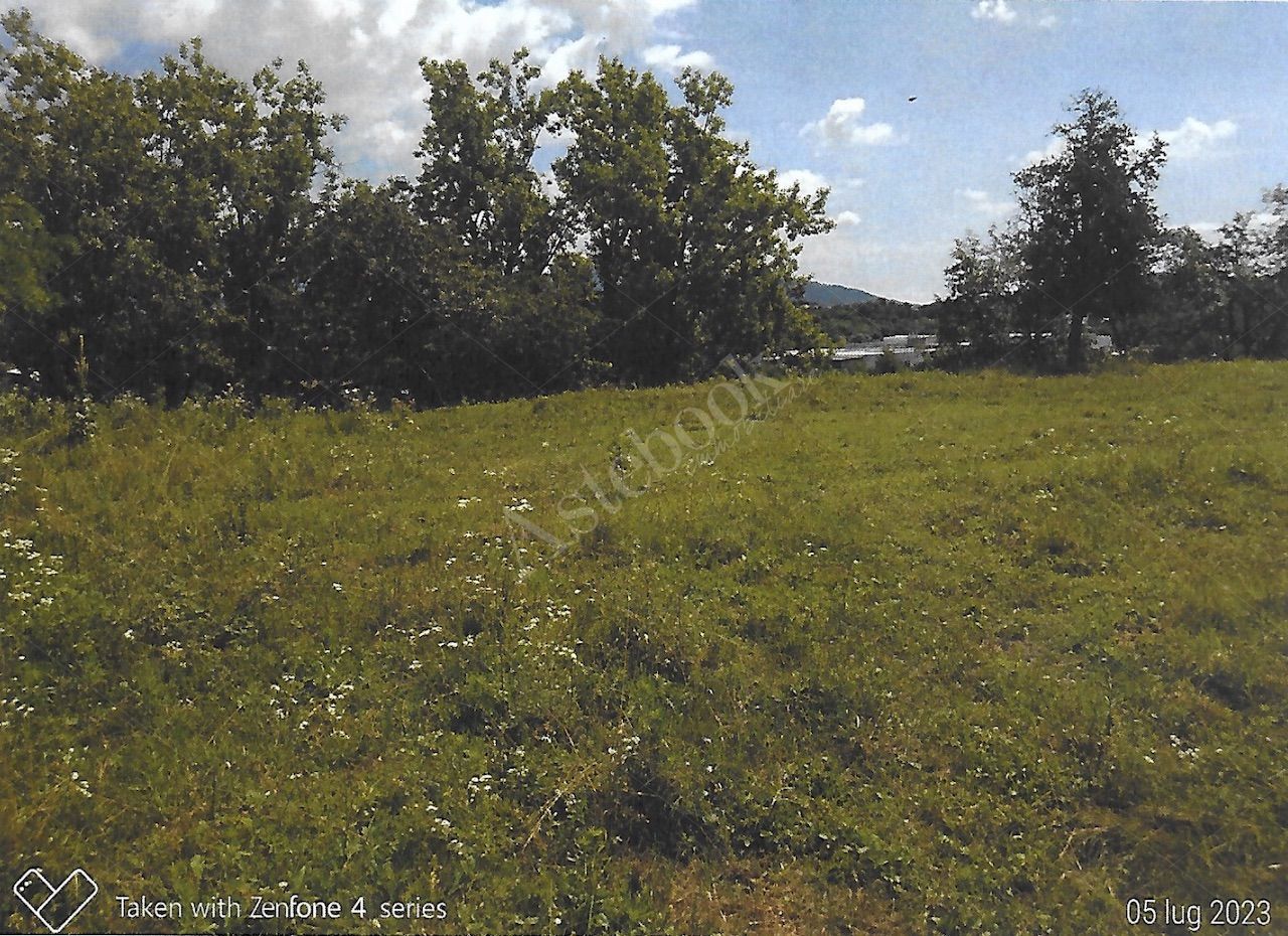 Terreno agricolo di 12.342 mq con deposito in Nibionno