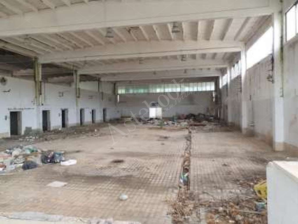 Compendio immobiliare a carattere industriale con area di pertinenza in Ceccano