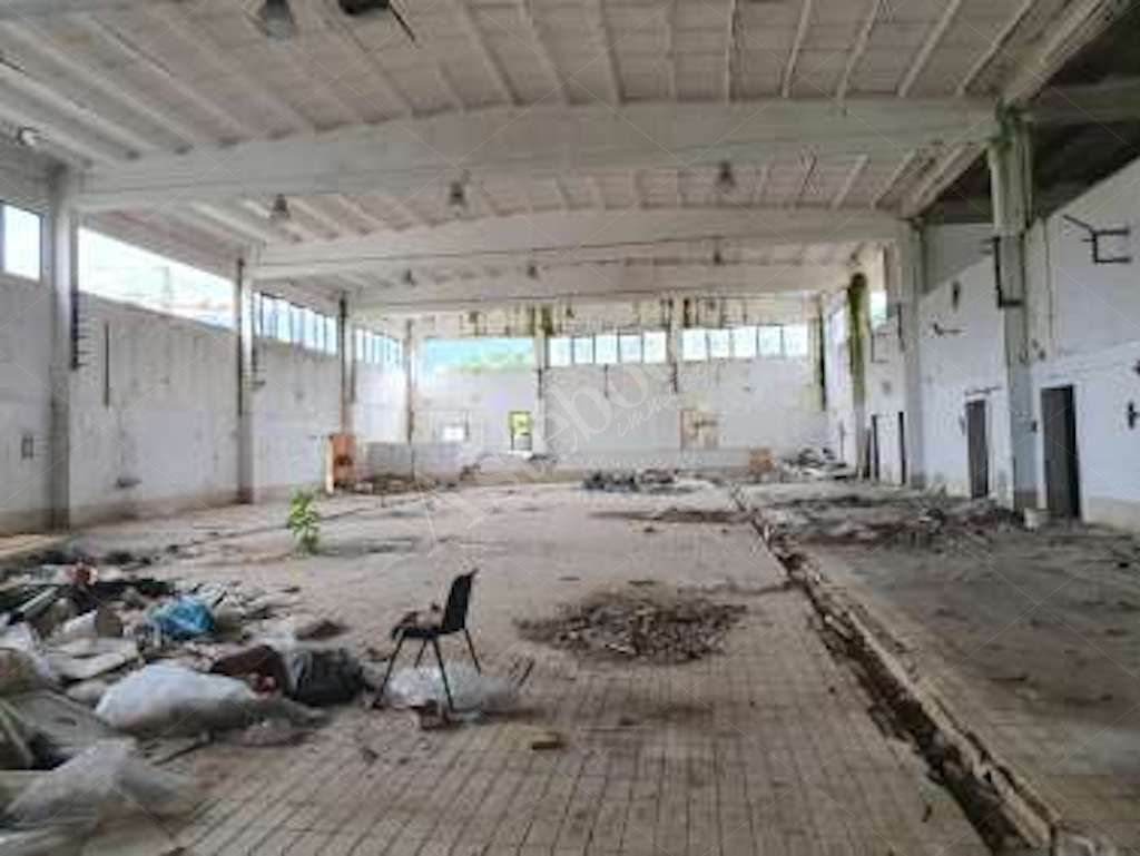 Compendio immobiliare a carattere industriale con area di pertinenza in Ceccano