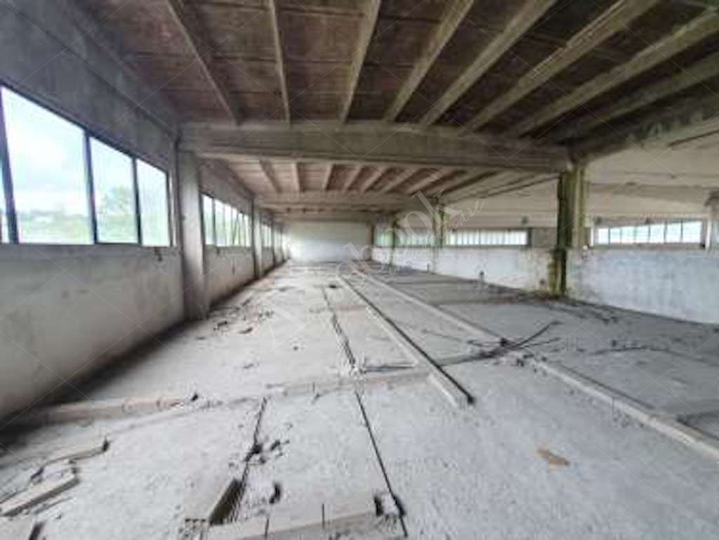 Compendio immobiliare a carattere industriale con area di pertinenza in Ceccano