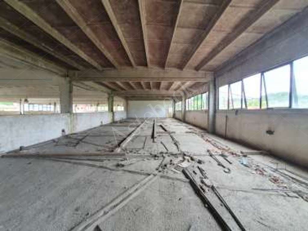 Compendio immobiliare a carattere industriale con area di pertinenza in Ceccano