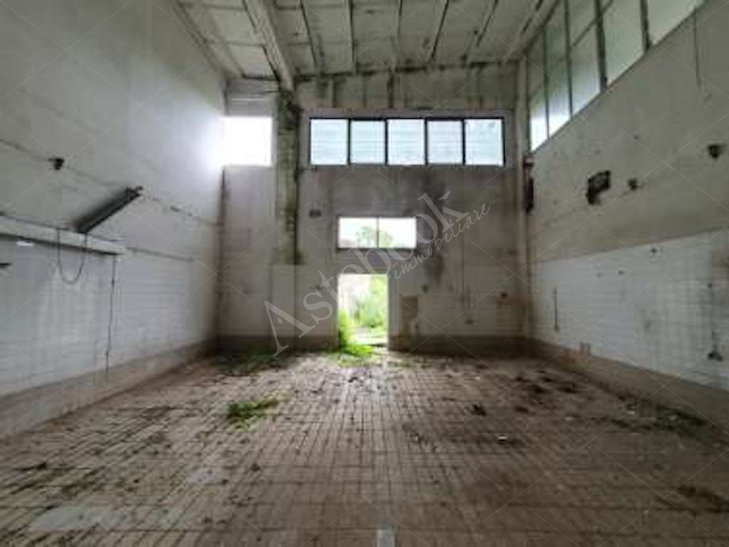 Compendio immobiliare a carattere industriale con area di pertinenza in Ceccano