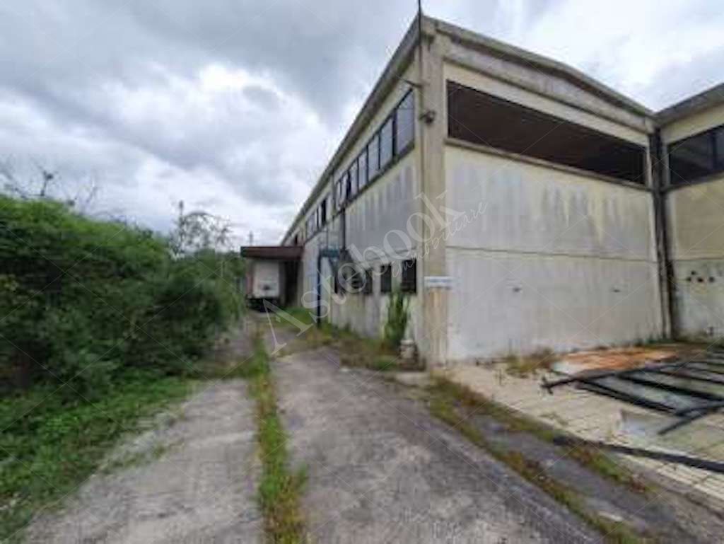 Compendio immobiliare a carattere industriale con area di pertinenza in Ceccano