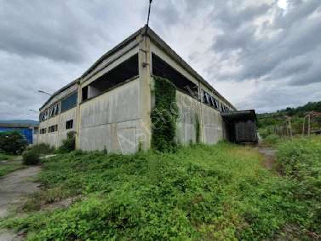 Compendio immobiliare a carattere industriale con area di pertinenza in Ceccano