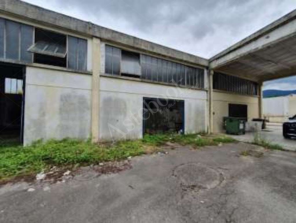 Compendio immobiliare a carattere industriale con area di pertinenza in Ceccano