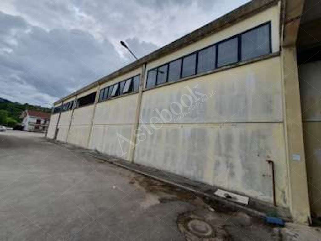 Compendio immobiliare a carattere industriale con area di pertinenza in Ceccano
