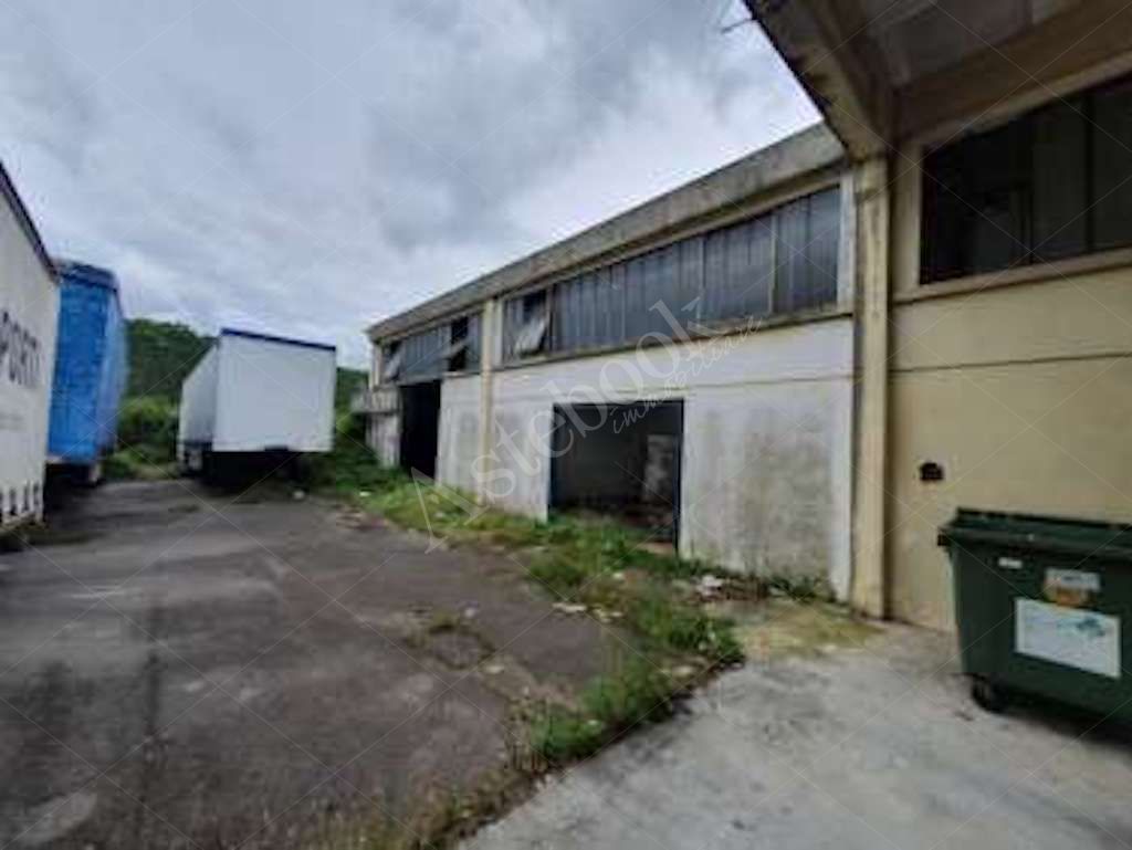 Compendio immobiliare a carattere industriale con area di pertinenza in Ceccano