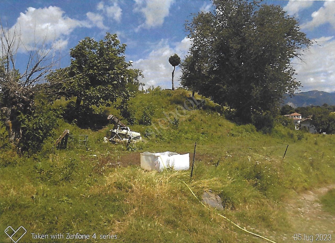 Terreno agricolo di 12.342 mq con deposito in Nibionno
