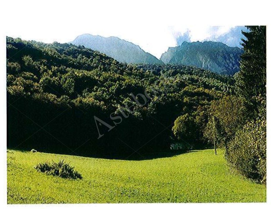 (lotto 6 lettere A-B-C-D-E-F-L-M della perizia datata 13 febbraio 2019 depositata nell'es. r.g.n. 57/2018 (+162/2024)-pag.88,89,91,da 97 a 109,117,118,119 e 120)-Piena Proprietà-In Comune di PRIMALUNA,Sezione di PRIMALUNA e PESSINA VALSASSINA:fabbricato rustico con appezzamenti di terreno in località La Cassina.