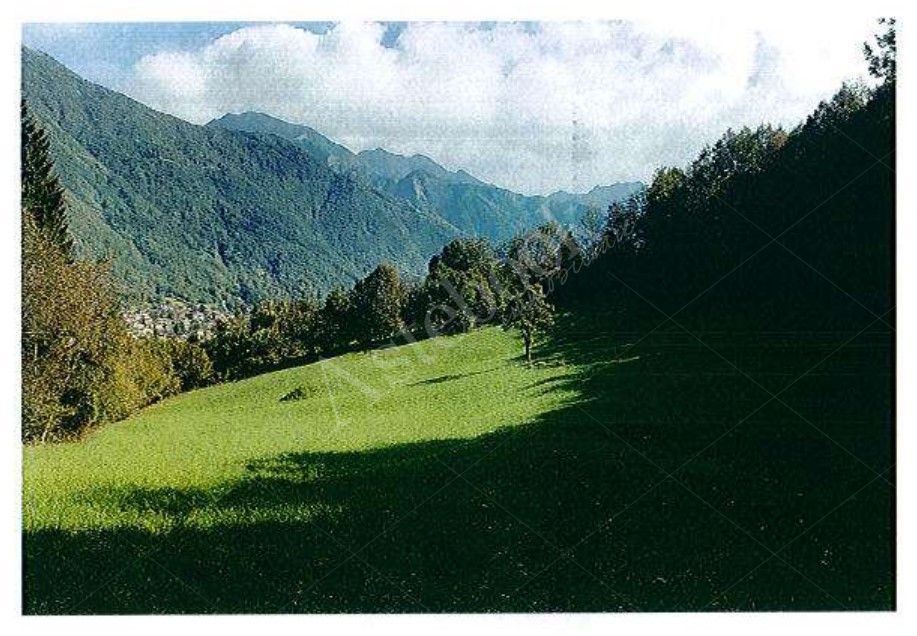 (lotto 6 lettere A-B-C-D-E-F-L-M della perizia datata 13 febbraio 2019 depositata nell'es. r.g.n. 57/2018 (+162/2024)-pag.88,89,91,da 97 a 109,117,118,119 e 120)-Piena Proprietà-In Comune di PRIMALUNA,Sezione di PRIMALUNA e PESSINA VALSASSINA:fabbricato rustico con appezzamenti di terreno in località La Cassina.