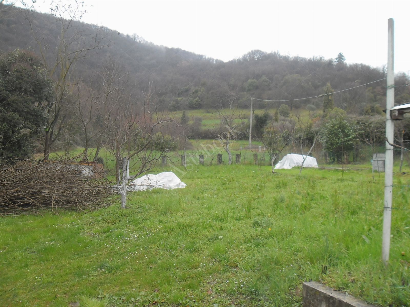 Quota indivisa di 1/4 di appartamento, 1/4 di deposito e 1/4 di terreno in San Paolo D'Argon