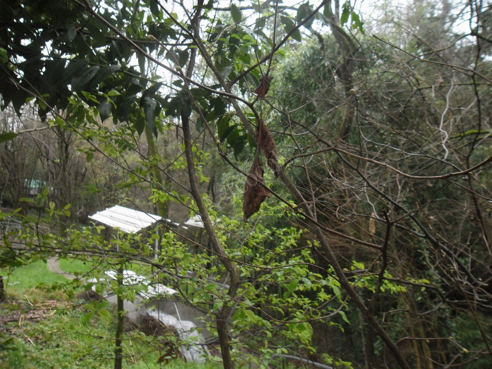 Quota indivisa di 1/4 di appartamento, 1/4 di deposito e 1/4 di terreno in San Paolo D'Argon