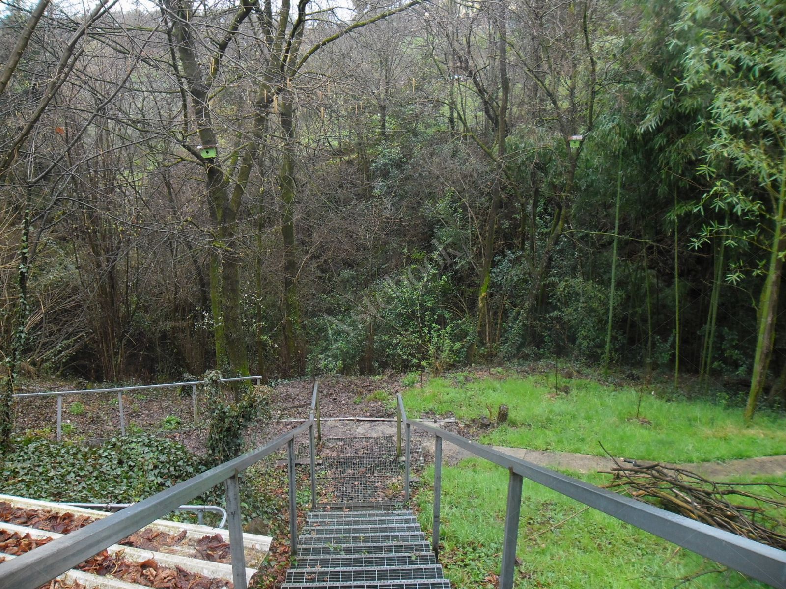 Quota indivisa di 1/4 di appartamento, 1/4 di deposito e 1/4 di terreno in San Paolo D'Argon