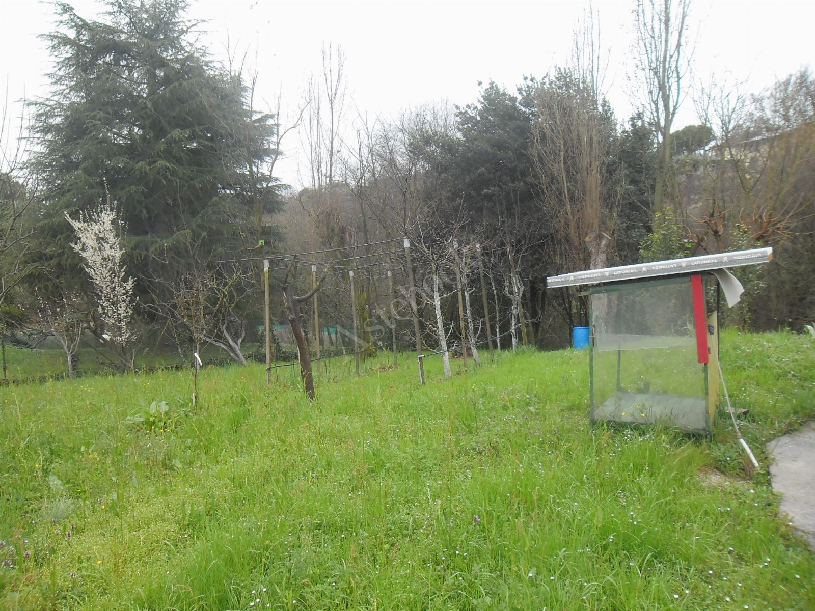 Quota indivisa di 1/4 di appartamento, 1/4 di deposito e 1/4 di terreno in San Paolo D'Argon