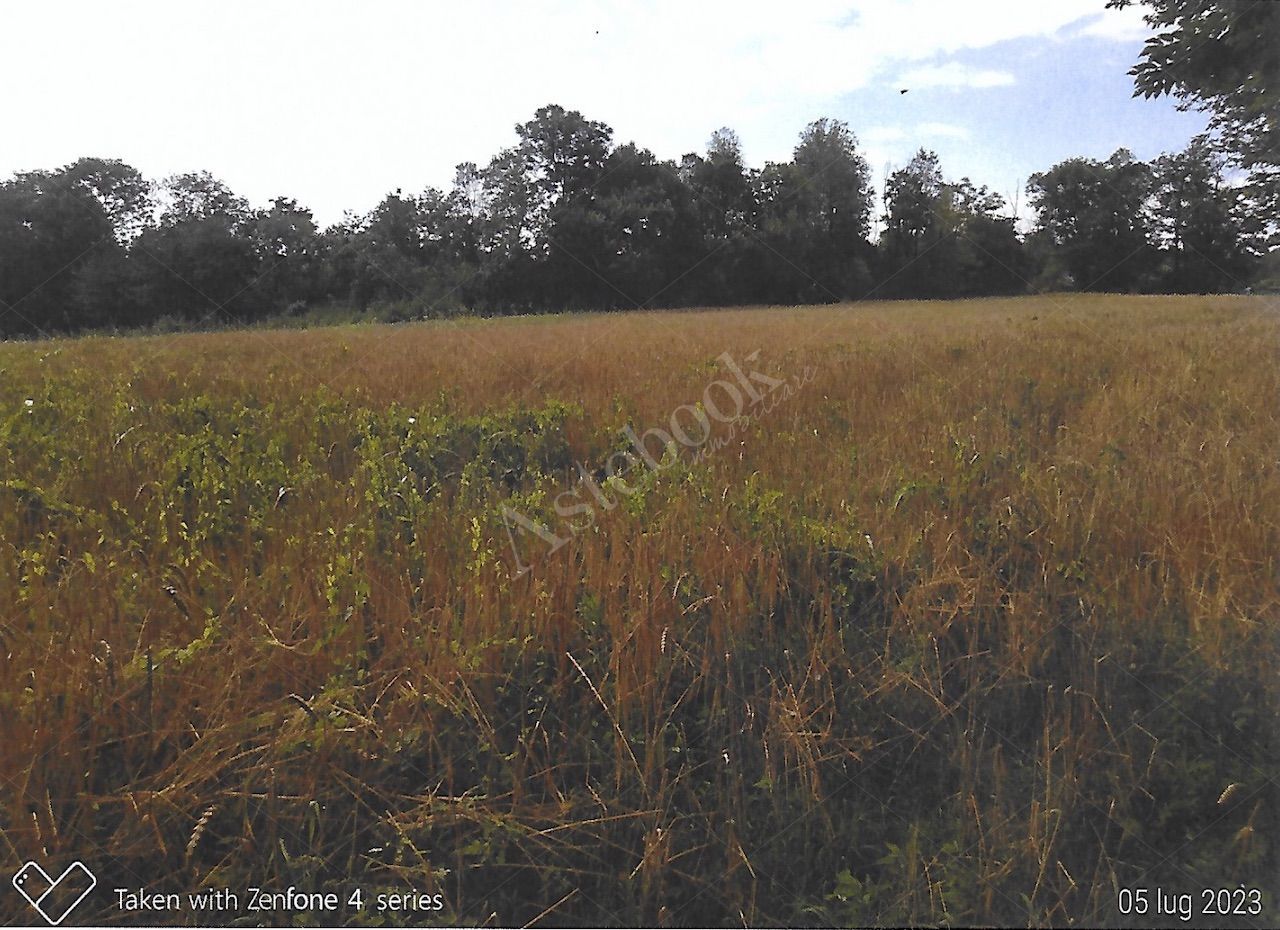 Terreni agricoli per circa 9.000 mq in Nibionno