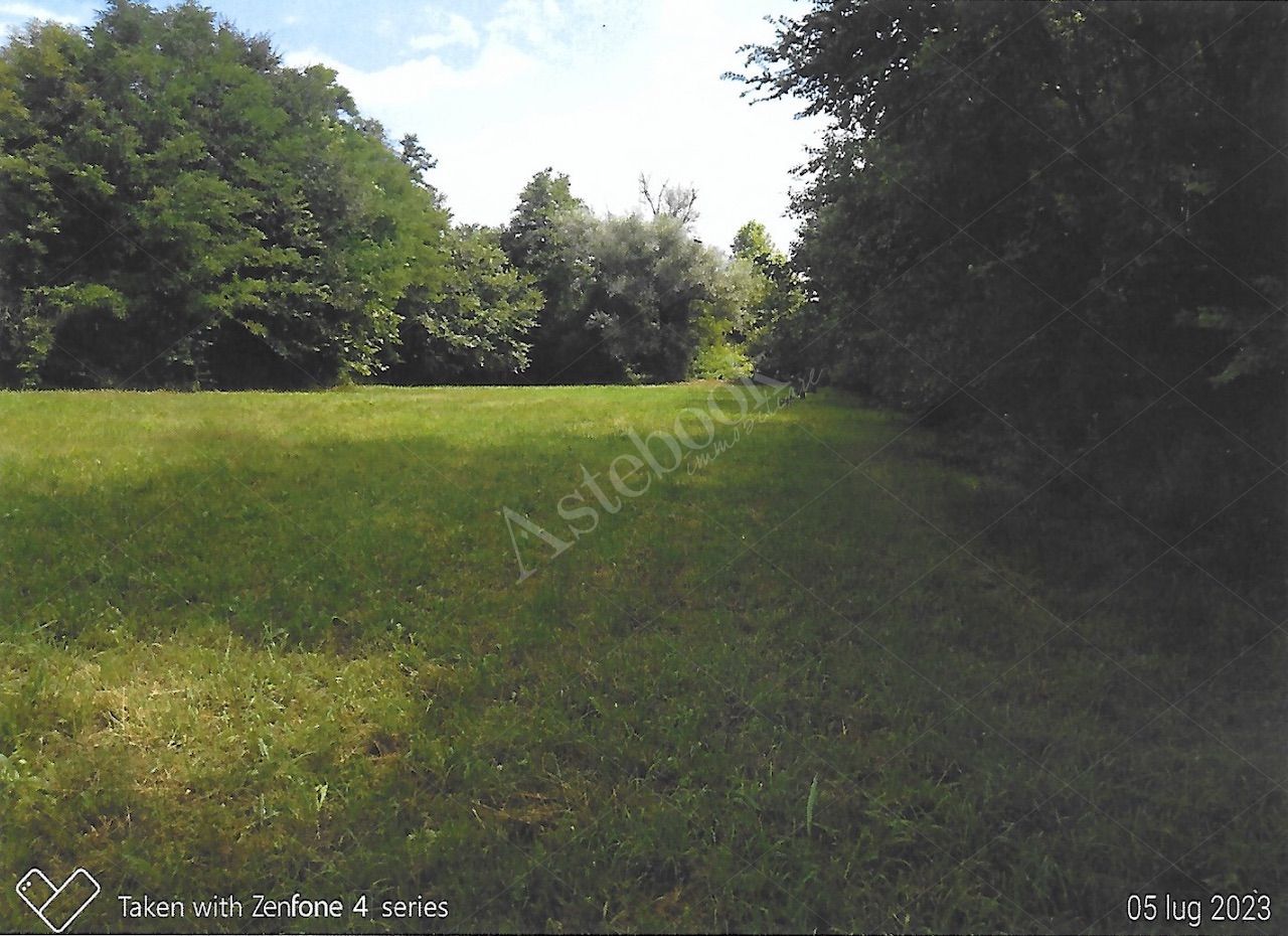 Terreni agricoli per circa 9.000 mq in Nibionno