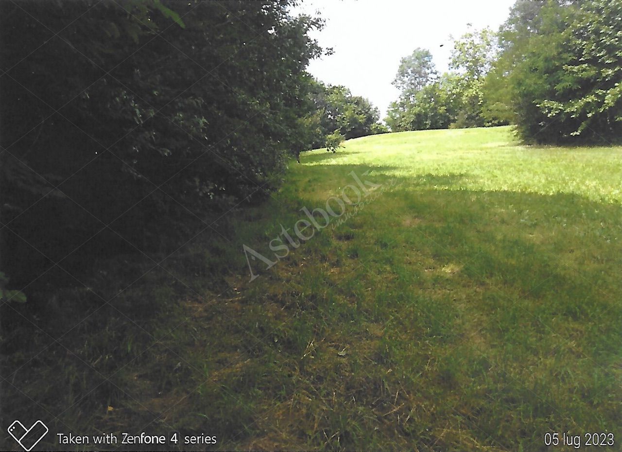 Terreni agricoli per circa 9.000 mq in Nibionno