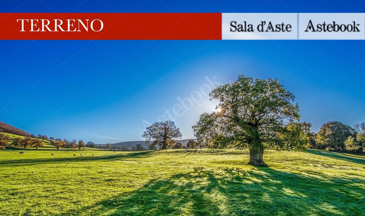 Quota di 1/2 di propriet di terreno di 510 mq in Cremeno