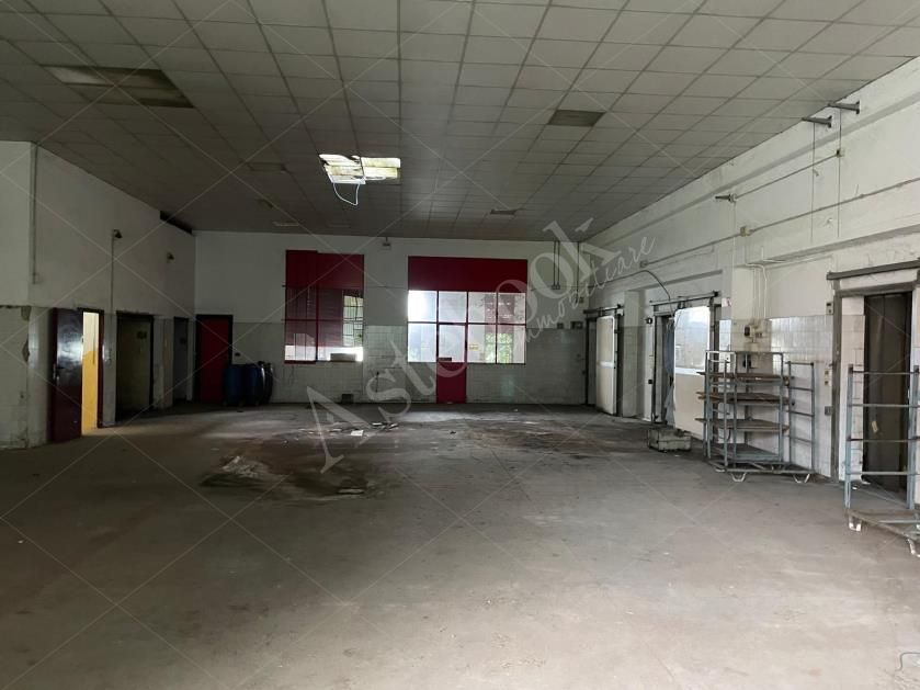 Capannone artigianale con sup. comm. 3.289,96 mq composto da due corpi di fabbrica e area di pertinenza esterna