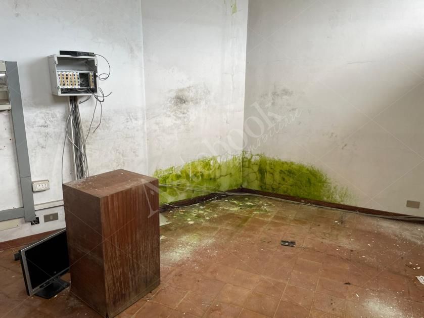 Capannone artigianale con sup. comm. 3.289,96 mq composto da due corpi di fabbrica e area di pertinenza esterna