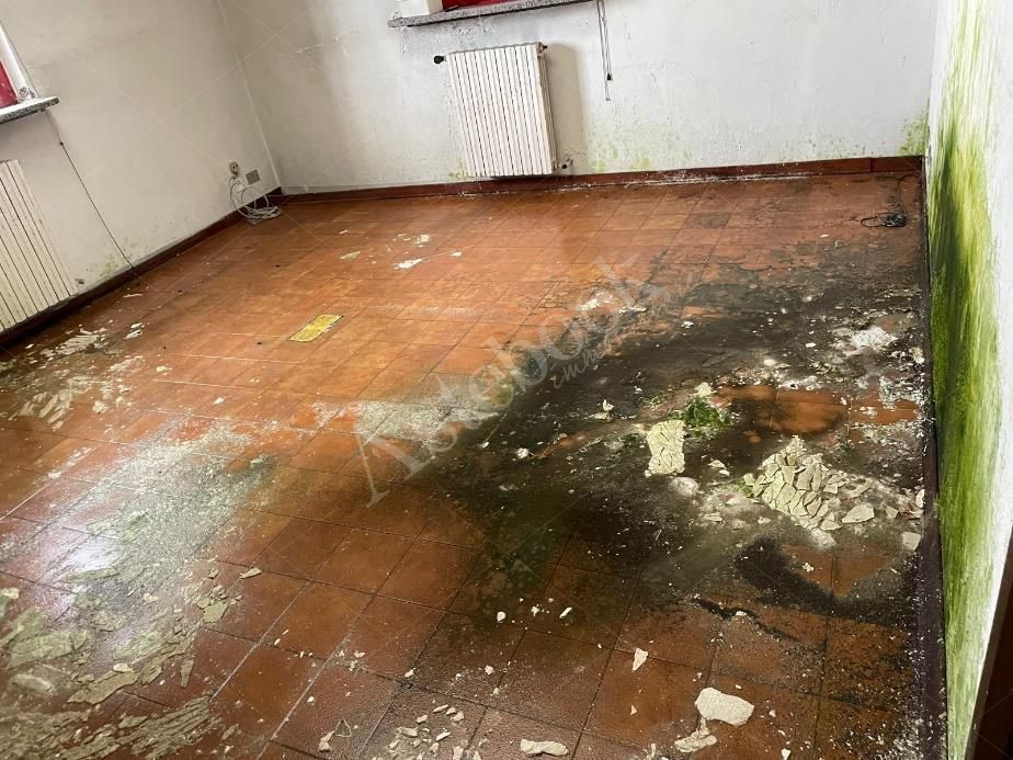 Capannone artigianale con sup. comm. 3.289,96 mq composto da due corpi di fabbrica e area di pertinenza esterna