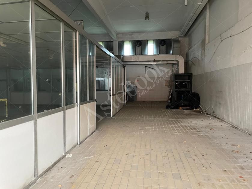 Capannone artigianale con sup. comm. 3.289,96 mq composto da due corpi di fabbrica e area di pertinenza esterna