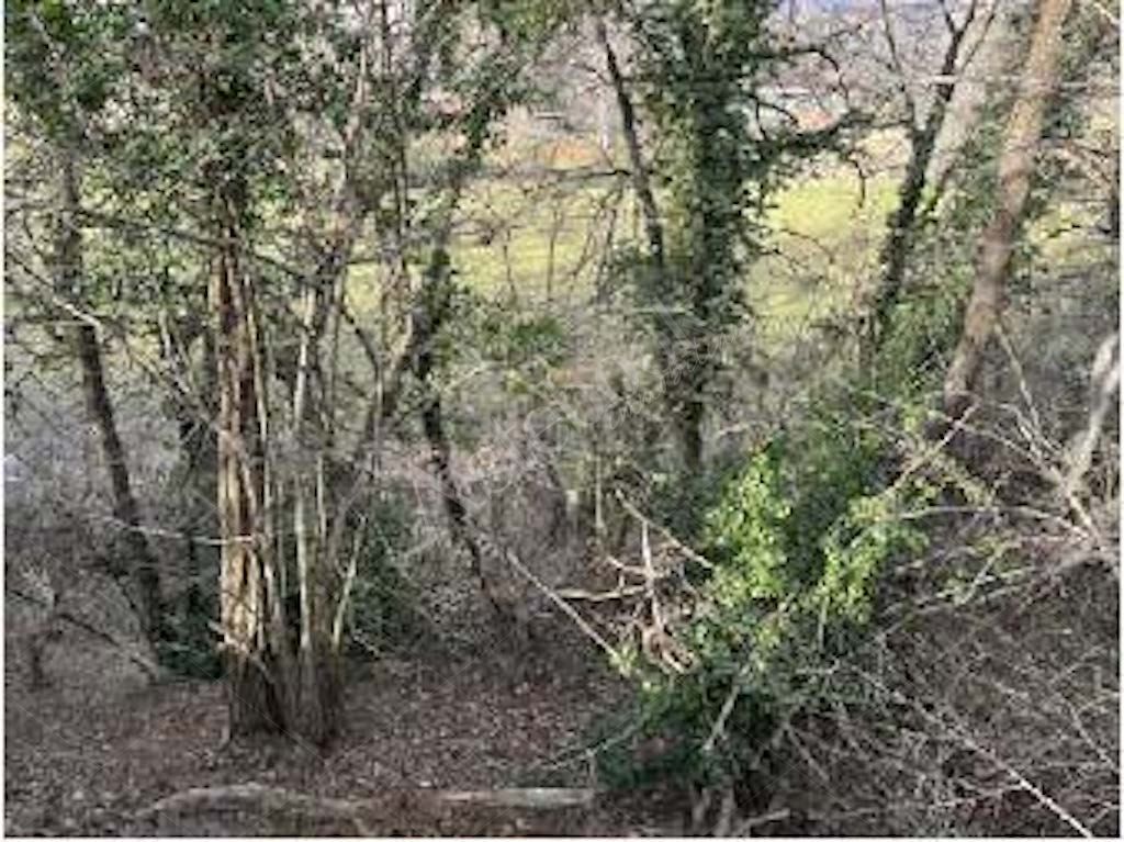 Quote di terreni in comune di Cremeno 