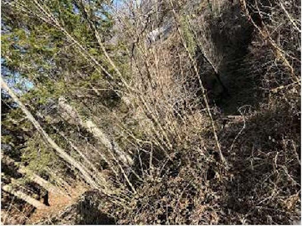 Quote di terreni in comune di Cremeno 