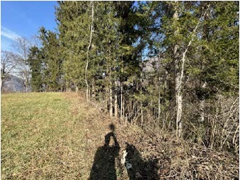 Quote di terreni in comune di Cremeno 