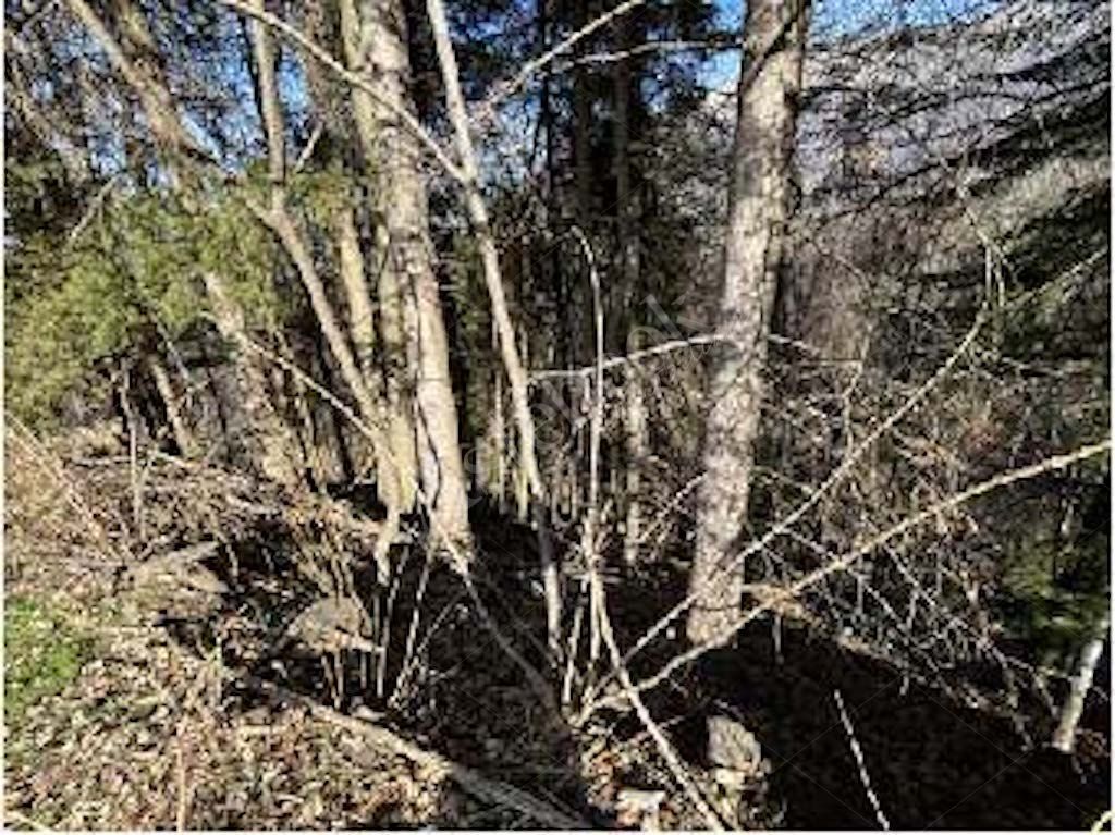 Quote di terreni in comune di Cremeno 