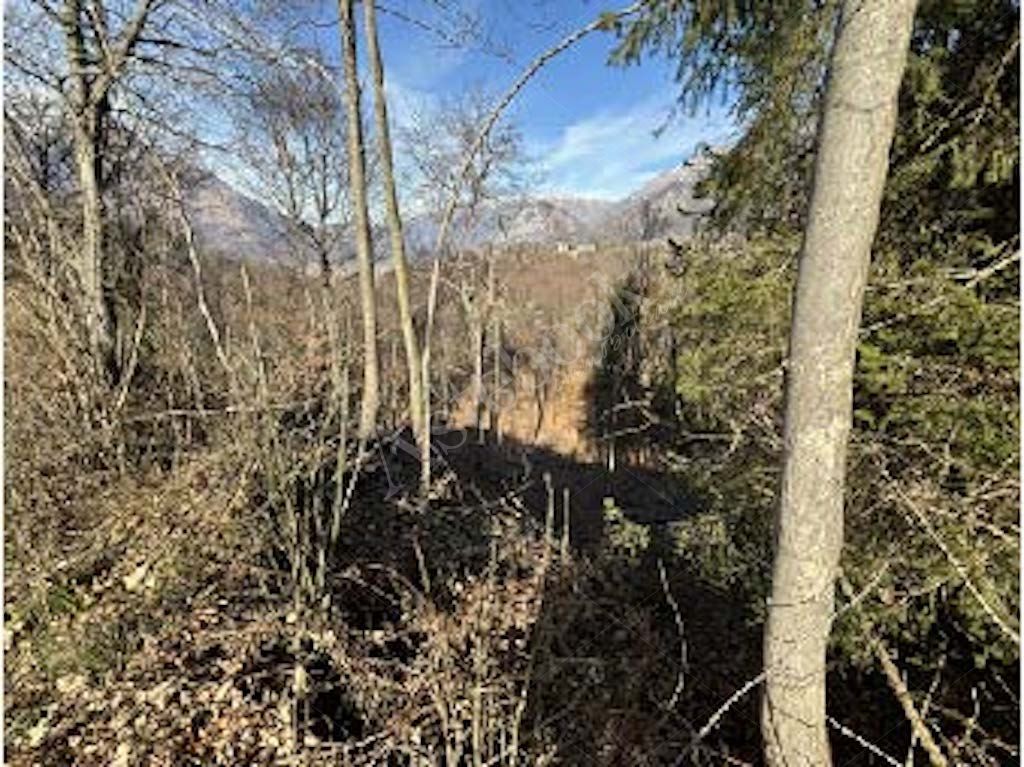 Quote di terreni in comune di Cremeno 